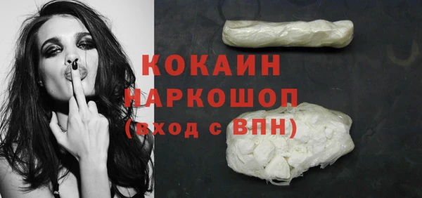 индика Абинск