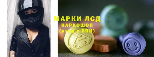индика Абинск