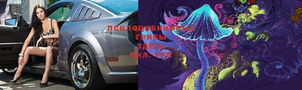 прущая мука Абаза