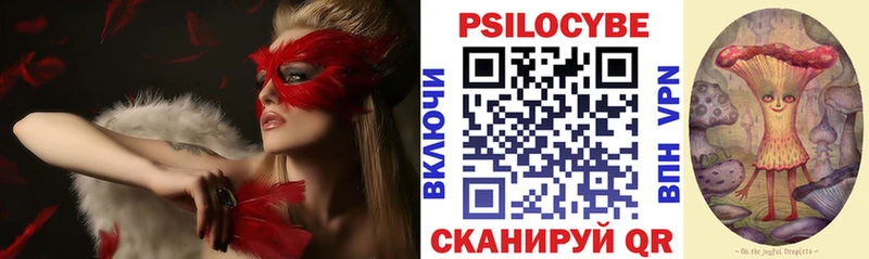 Псилоцибиновые грибы Psilocybe  Новое Девяткино 